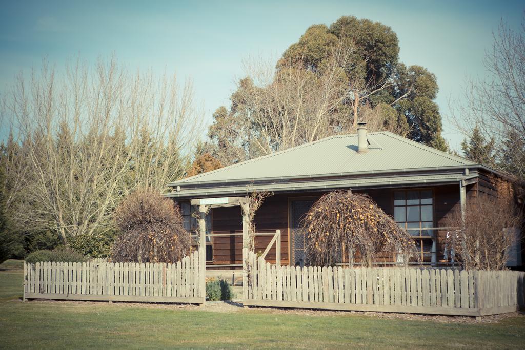 Sanctuary Park Cottages Healesville Exterior photo