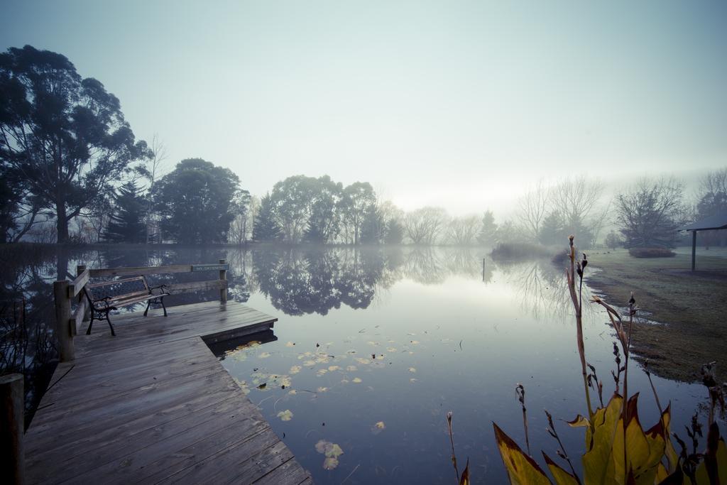 Sanctuary Park Cottages Healesville Exterior photo