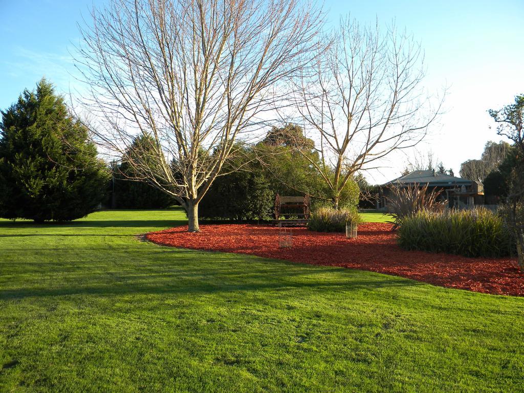 Sanctuary Park Cottages Healesville Exterior photo